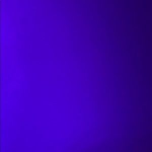 Meet your Posher, Max